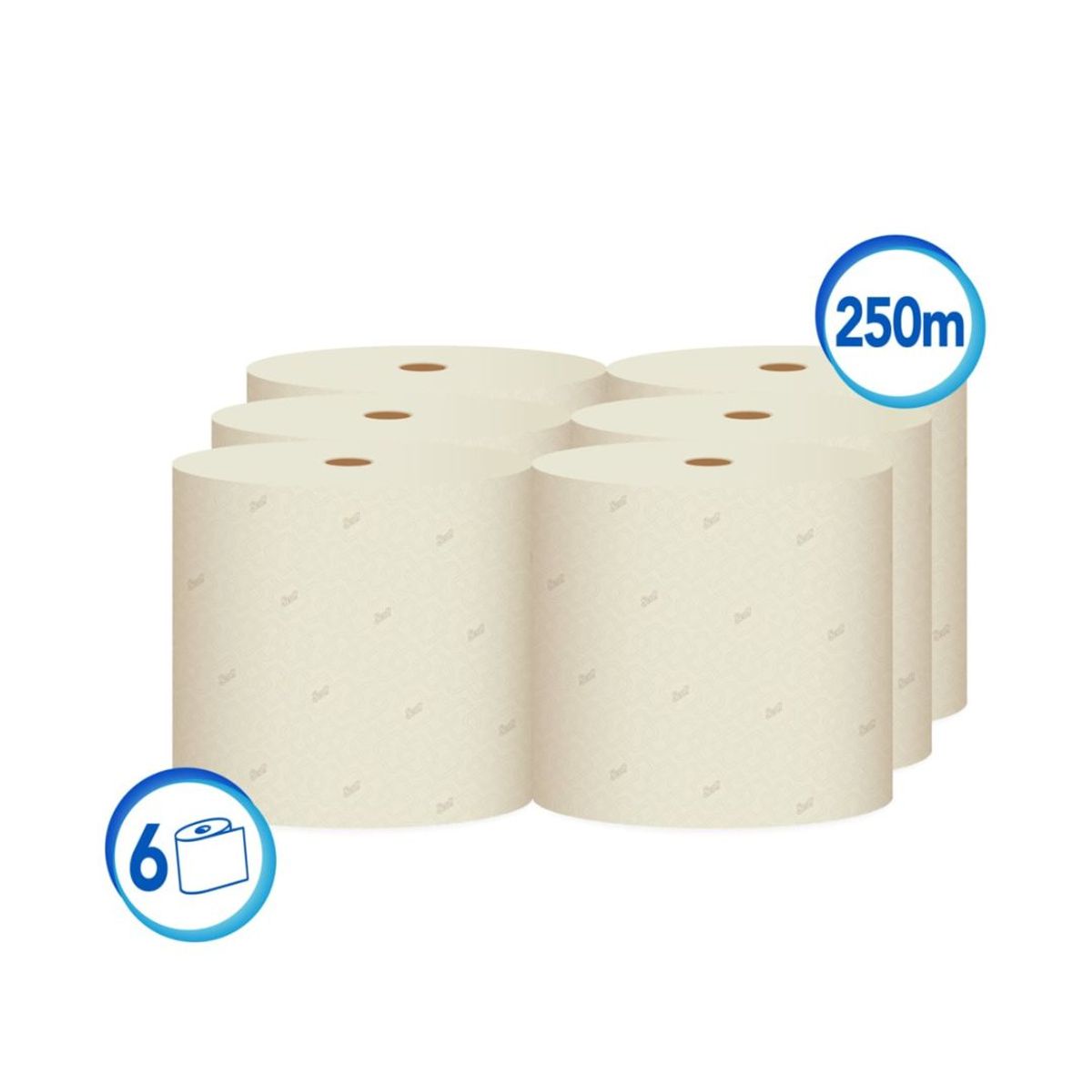 10X Toalla Mano Rollo Natural Ahorramax Scott 0064 x 250 Mts x 6