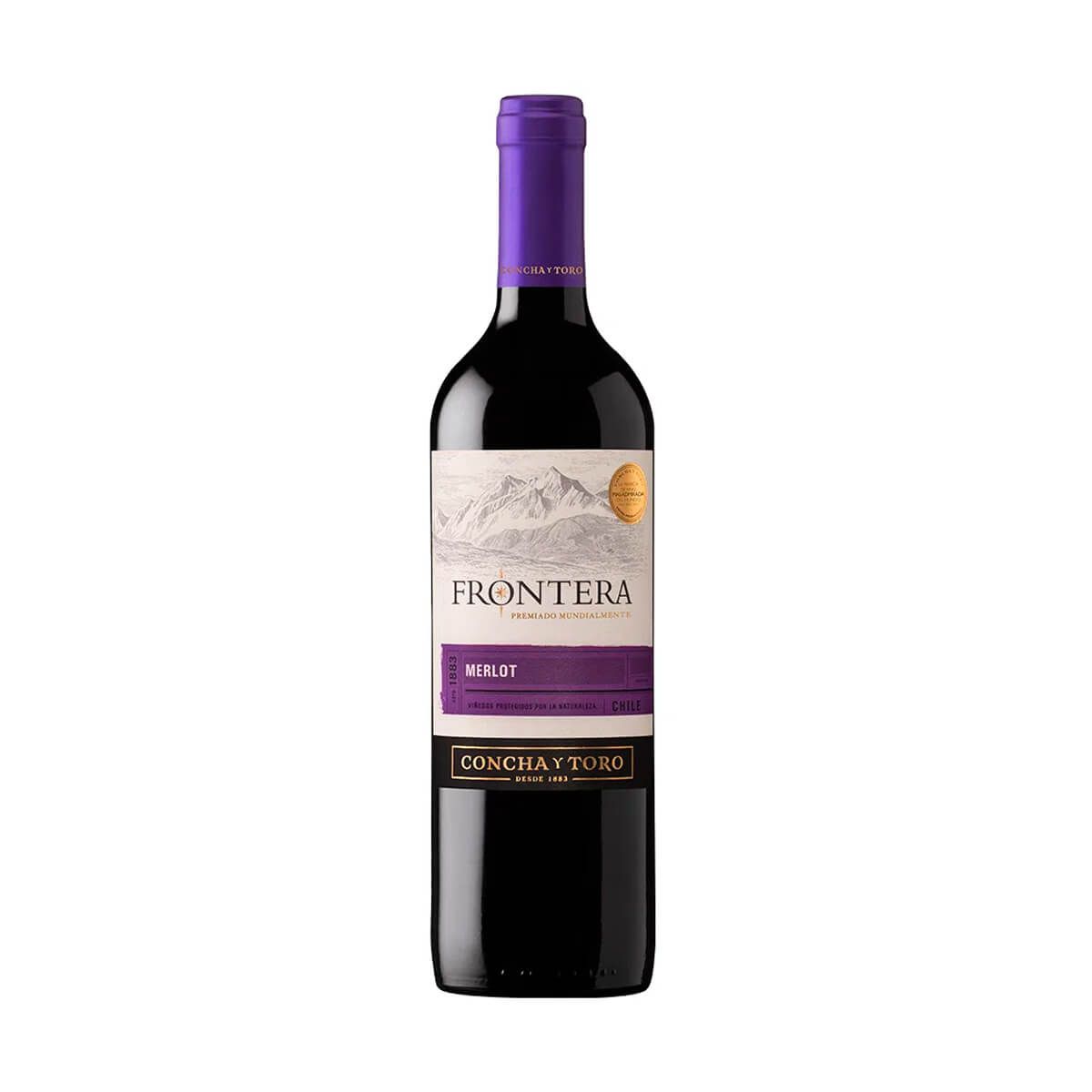 10X Vino Tinto Frontera Merlot Chileno x 750 Ml