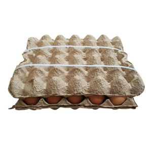 Huevos B Rojo Santa Reyes Cubeta x 30 Und Cartón - Caja