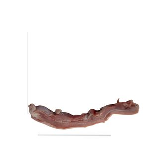 Tocino Carnudo La Carnisseria (Precio x Kg) - Kilogramo
