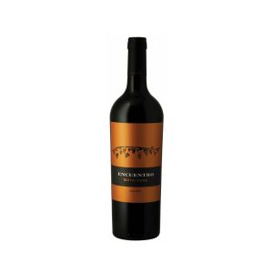Vino Tinto Rutini Encuentro Malbec Argentino x 750 Ml - Botella