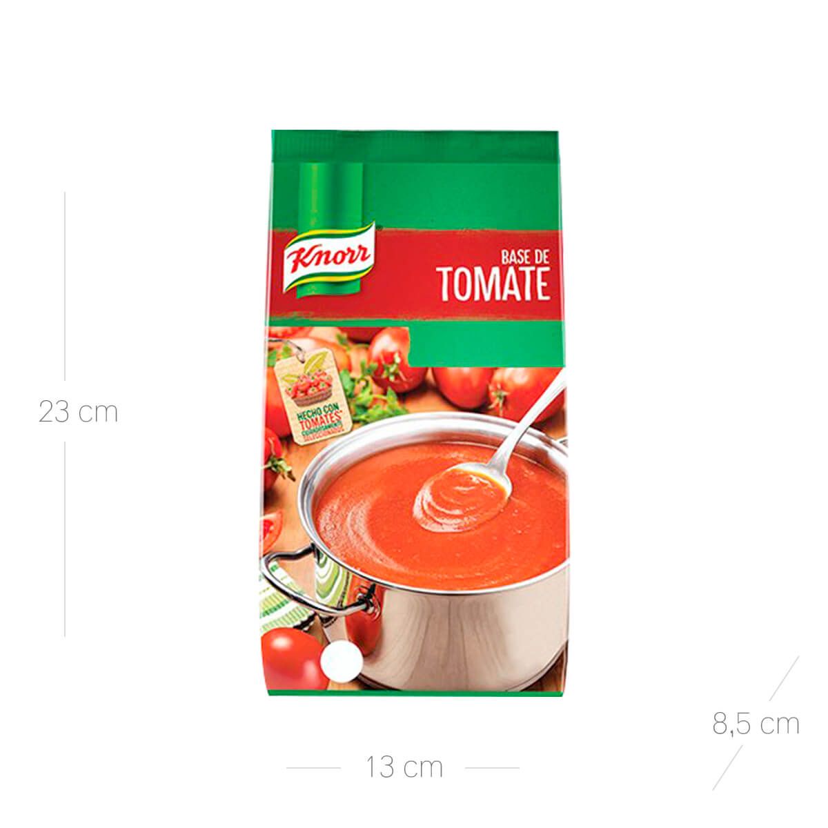 10X Base Tomate Knorr x 500 Gr Bolsa