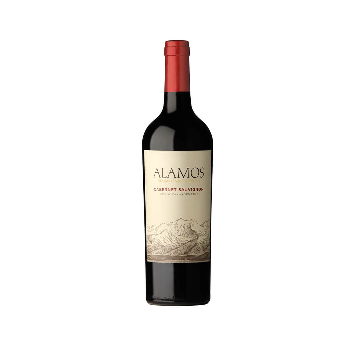 10X Vino Tinto Álamos Cabernet Sauvignon Argentino x 750 Ml